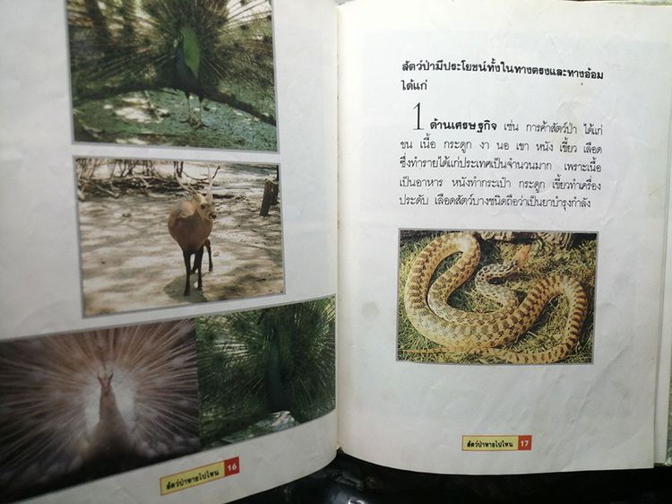  หนังสือปลาและสัตว์ครึ่งน้ำครึ่งบกหายาก ขายรวม2เล่ม หนังสือสัตว์ รูปที่ 6