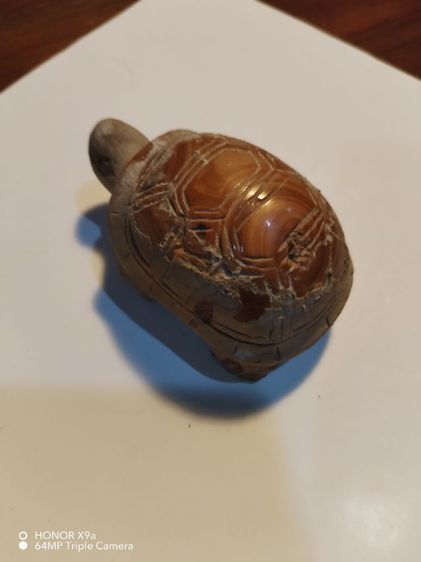 พญาเต่าเรือน​ ขนาดบูชา3นิ้ว​ เก่าแท้ รูปที่ 12