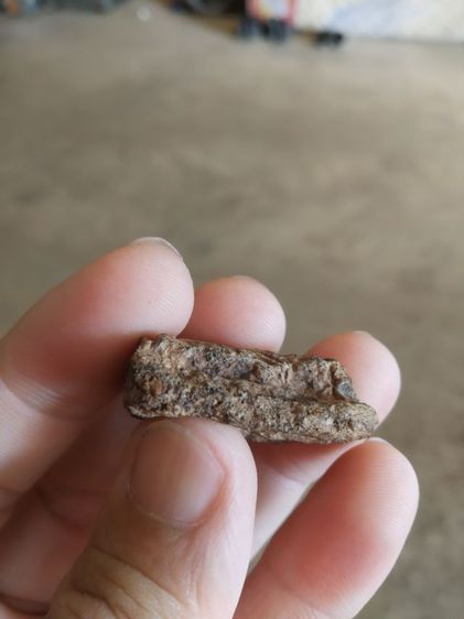 พระเนื้อผสมมวลสาร(พระหลวงปู่ทวดเก่าหลังเรียบ(ว่านผสมชานหมาก)(ไม่ทราบพระเกจิที่สร้าง)(ไม่ทราบรุ่นไม่ทราบอายุ))พระบ้านพระเครื่องรางของมงคล รูปที่ 11