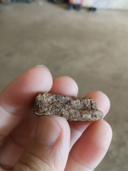 พระเนื้อผสมมวลสาร(พระหลวงปู่ทวดเก่าหลังเรียบ(ว่านผสมชานหมาก)(ไม่ทราบพระเกจิที่สร้าง)(ไม่ทราบรุ่นไม่ทราบอายุ))พระบ้านพระเครื่องรางของมงคล รูปที่ 12