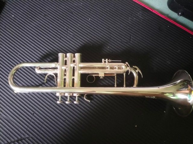 trumpet Lignatone  รูปที่ 2