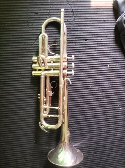 trumpet Lignatone  รูปที่ 4