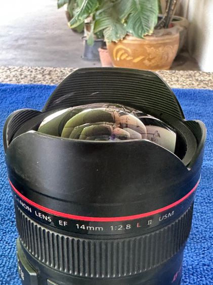 เลนส์ Canon EF 14mm F2.8L ll มือสองสภาพดี รูปที่ 8