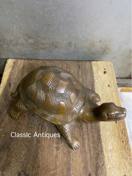 เต่า ทองเหลืองสะสมA1 รูปที่ 6