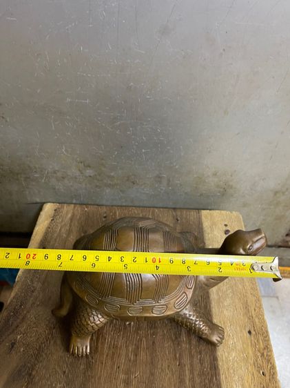 เต่า ทองเหลืองสะสมA1 รูปที่ 14