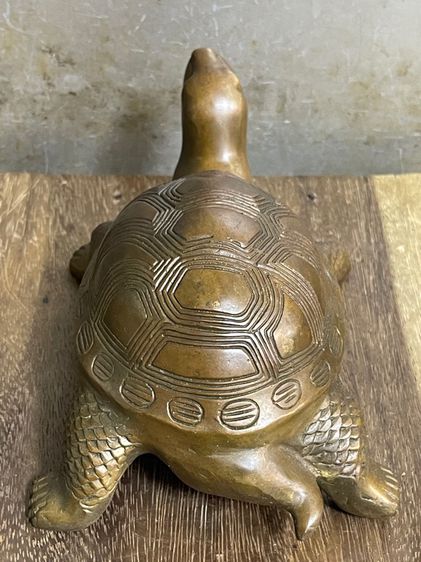 เต่า ทองเหลืองสะสมA1 รูปที่ 8