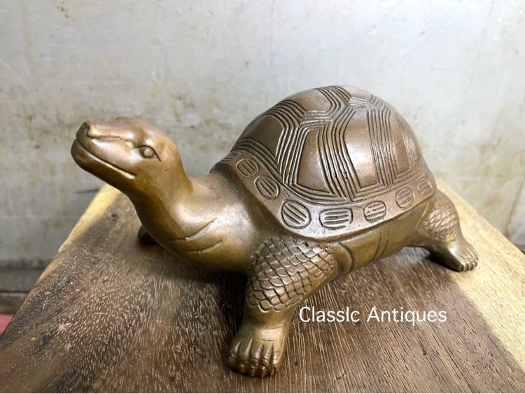 เต่า ทองเหลืองสะสมA1