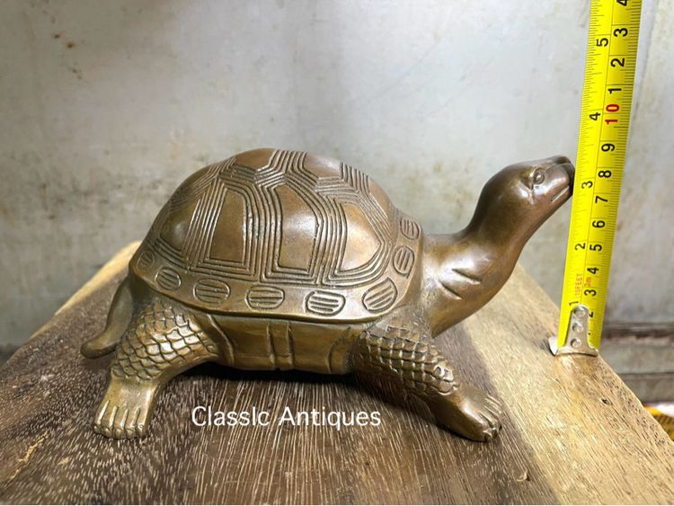 เต่า ทองเหลืองสะสมA1 รูปที่ 9