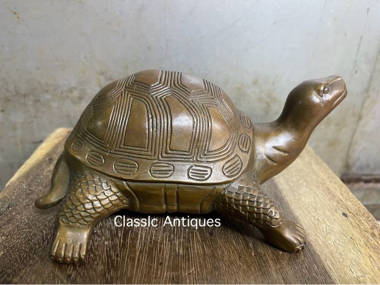 เต่า ทองเหลืองสะสมA1 รูปที่ 4