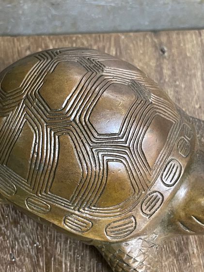 เต่า ทองเหลืองสะสมA1 รูปที่ 7