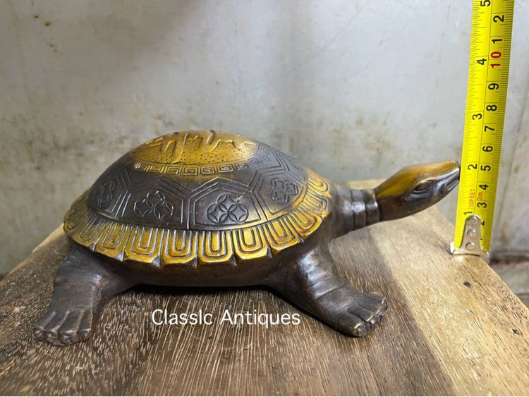 เต่า ทองเหลืองสะสมA2 รูปที่ 11