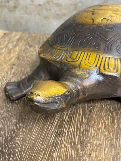 เต่า ทองเหลืองสะสมA2 รูปที่ 12