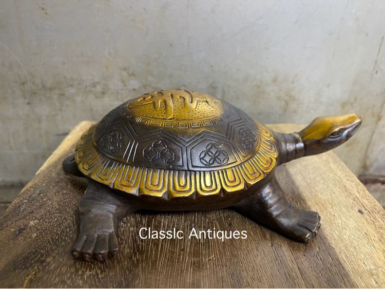 เต่า ทองเหลืองสะสมA2 รูปที่ 9