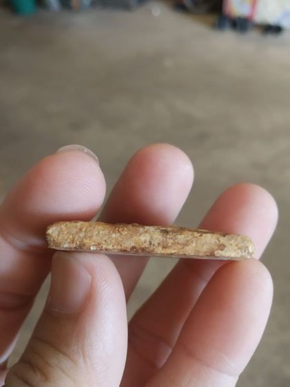 พระเนื้อว่านผสมผง(พระพิมพ์พระสมเด็จหลังตราเจดีย์(ไม่ทราบพระเกจิที่สร้าง)(060401)(พระเก่าไม่ทราบที่))พระบ้านพระเครื่องรางของมงคล รูปที่ 16