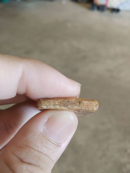 พระเนื้อว่านผสมผง(พระพิมพ์พระสมเด็จหลังตราเจดีย์(ไม่ทราบพระเกจิที่สร้าง)(060401)(พระเก่าไม่ทราบที่))พระบ้านพระเครื่องรางของมงคล รูปที่ 13