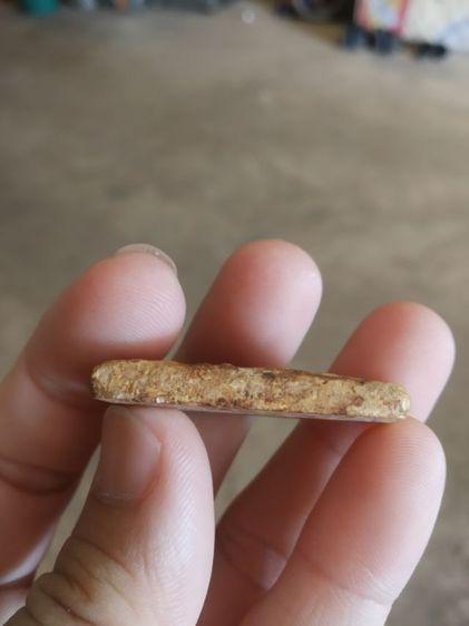 พระเนื้อว่านผสมผง(พระพิมพ์พระสมเด็จหลังตราเจดีย์(ไม่ทราบพระเกจิที่สร้าง)(060401)(พระเก่าไม่ทราบที่))พระบ้านพระเครื่องรางของมงคล รูปที่ 15