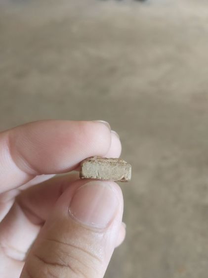 พระเนื้อว่านผสมผงพิมพ์เล็ก(พระพิมพ์พระนางพญาหลังเจดีย์(070401)(ไม่ทราบพระเกจิที่สร้าง))พระบ้านพระเครื่องรางของมงคล รูปที่ 16