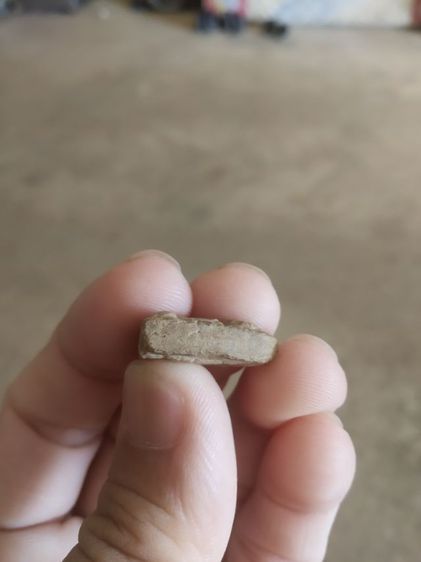 พระเนื้อว่านผสมผงพิมพ์เล็ก(พระพิมพ์พระนางพญาหลังเจดีย์(070401)(ไม่ทราบพระเกจิที่สร้าง))พระบ้านพระเครื่องรางของมงคล รูปที่ 18