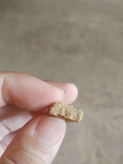 พระเนื้อผงน้ำมันสายรุ้ง(พระพิมพ์พระร่วงยืน(วัดดงบ้านกร่าง)(องค์พระมีแค่สามส่วน)(ขอคนที่รับได้)(จังหวัดสิงห์บุรี))พระบ้านพระเครื่องรางของมงคล รูปที่ 14