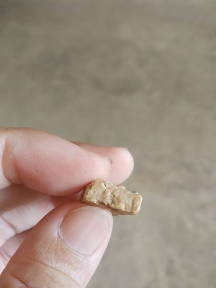 พระเนื้อผงน้ำมันสายรุ้ง(พระพิมพ์พระร่วงยืน(วัดดงบ้านกร่าง)(องค์พระมีแค่สามส่วน)(ขอคนที่รับได้)(จังหวัดสิงห์บุรี))พระบ้านพระเครื่องรางของมงคล รูปที่ 13