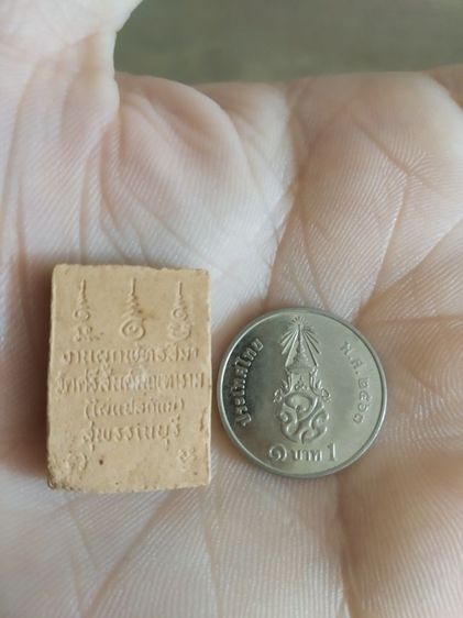 พระเนื้อผงพิมพ์เล็ก(พระพิมพ์พระพุทธชินราช(พระครูสมชายฐิตธัมโม)(วัดศรีสันต์ฑารามหรือวัดไผ่แปลกแม่)(จังหวัดสุพรรณบุรี))พระเครื่องรางของมงคล รูปที่ 8