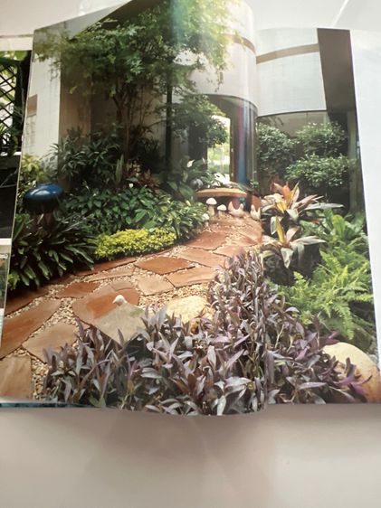 หนังสือเก่า รูปที่ 16