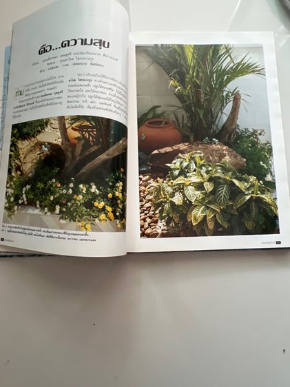 หนังสือเก่า รูปที่ 17