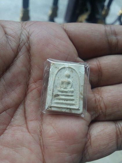 เหรียญหลวงปู่ศุข(วัดปากคลองมะขามเฒ่า)ด้านหลังกรมหลวงชุมพรเขตอุดมศักดิ์ เนื้ออัลปาก้า รุ่นแรก วัดประสาทบุญวาส ปี2506 พิธีดียิ่งใหญ่มาก รูปที่ 14