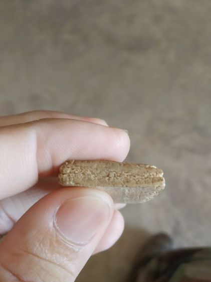 พระเนื้อว่านผสมผง(พระพิมพ์พระสมเด็จหลังเรียบ(080405)(ไม่ทราบพระเกจิที่สร้าง)(มีขอบแตกเล็กน้อย))พระบ้านพระเครื่องรางของมงคล รูปที่ 17