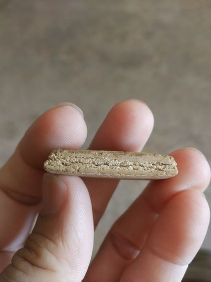 พระเนื้อว่านผสมผง(พระพิมพ์พระสมเด็จหลังเรียบ(080405)(ไม่ทราบพระเกจิที่สร้าง)(มีขอบแตกเล็กน้อย))พระบ้านพระเครื่องรางของมงคล รูปที่ 13