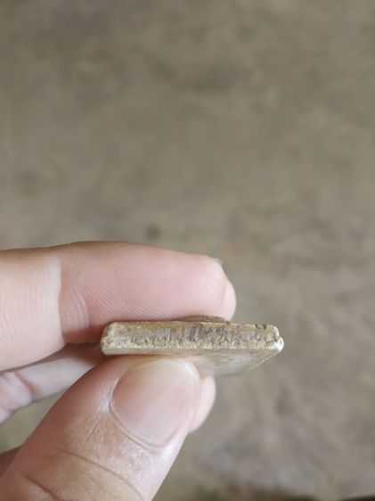 พระเนื้อว่านผสมผง(พระสมเด็จพุฒาจารย์โตพรหมรังสีหลังเรียบ(พิมพ์ขรัวโต)(080406)(ไม่ทราบพระเกจิที่สร้าง))พระบ้านพระเครื่องรางของมงคล รูปที่ 16