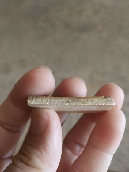 พระเนื้อว่านผสมผง(พระสมเด็จพุฒาจารย์โตพรหมรังสีหลังเรียบ(พิมพ์ขรัวโต)(080406)(ไม่ทราบพระเกจิที่สร้าง))พระบ้านพระเครื่องรางของมงคล รูปที่ 13