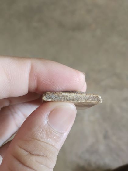 พระเนื้อผงผสมว่าน(พระพิมพ์พระสมเด็จพุฒาจารย์โตพรหมรังสีหลังเรียบ(พิมพ์ขรัวโต)(080407)(ไม่ทราบพระเกจิที่สร้าง))พระบ้านพระเครื่องรางของมงคล รูปที่ 14