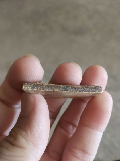 พระเนื้อผงผสมว่าน(พระพิมพ์พระสมเด็จพุฒาจารย์โตพรหมรังสีหลังเรียบ(พิมพ์ขรัวโต)(080407)(ไม่ทราบพระเกจิที่สร้าง))พระบ้านพระเครื่องรางของมงคล รูปที่ 11