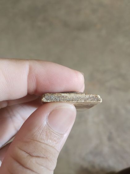 พระเนื้อผงผสมว่าน(พระพิมพ์พระสมเด็จพุฒาจารย์โตพรหมรังสีหลังเรียบ(พิมพ์ขรัวโต)(080407)(ไม่ทราบพระเกจิที่สร้าง))พระบ้านพระเครื่องรางของมงคล รูปที่ 17