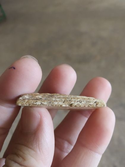 พระเนื้อว่านผสมผง(พระพิมพ์พระสมเด็จวัดระฆังพิมพ์พระยอดขุนพล(ไม่ทราบพระเกจิที่สร้าง)(ไม่รู้ที่มา)(ไม่ทราบที่))พระบ้านพระเครื่องรางของมงคล รูปที่ 11