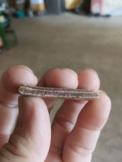 พระเนื้อผงผสมว่าน(พระพิมพ์พระสมเด็จหลังเรียบเนื้อออกสีน้ำตาลเข้มเล็กน้อย(080423)(ไม่ทราบพระเกจิที่สร้าง))พระบ้านพระเครื่องรางของมงคล รูปที่ 9