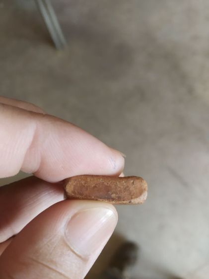 พระเนื้อดินเผา(พระพิมพ์พระซุ้มกอหลังเรียบเนื้อออกสีแดงส้ม(080471)(ไม่ทราบอายุและรุ่น)(ไม่ทราบพระเกจิที่สร้าง))พระบ้านพระเครื่องรางของมงคล รูปที่ 17