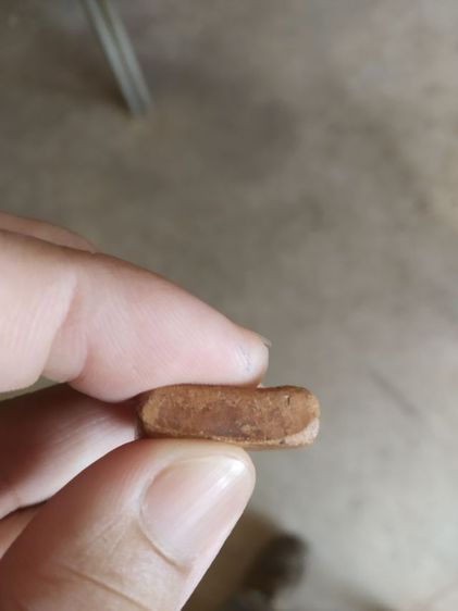 พระเนื้อดินเผา(พระพิมพ์พระซุ้มกอหลังเรียบเนื้อออกสีแดงส้ม(080471)(ไม่ทราบอายุและรุ่น)(ไม่ทราบพระเกจิที่สร้าง))พระบ้านพระเครื่องรางของมงคล รูปที่ 16