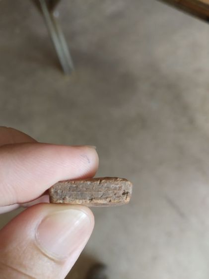 พระเนื้อดินเผา(พระพิมพ์พระซุ้มกอหลังเรียบ(080472)(ไม่ทราบพระเกจิที่สร้าง)(ไม่ทราบรุ่นและอายุ)(ไม่ค่อยสวย))พระบ้านพระเครื่องรางของมงคล รูปที่ 15