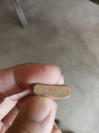 พระเนื้อดิน(พระพิมพ์พระซุ้มกอเนื้อสีน้ำตาลอ่อนๆหลังเรียบ(080473)(ไม่ทราบพระเกจิที่สร้าง)(ไม่ทราบรุ่นและอายุ))พระบ้านพระเครื่องรางของมงคล รูปที่ 18