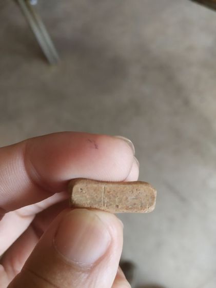 พระเนื้อดิน(พระพิมพ์พระซุ้มกอเนื้อสีน้ำตาลอ่อนๆหลังเรียบ(080473)(ไม่ทราบพระเกจิที่สร้าง)(ไม่ทราบรุ่นและอายุ))พระบ้านพระเครื่องรางของมงคล รูปที่ 13