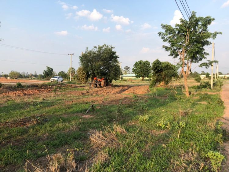 ขายที่ดิน 150 ตร.วา ด้านหลังนิคมอุตสาหกรรม นวนคร อำเภอสูงเนิน จังหวัดนครราชสีมา รูปที่ 3