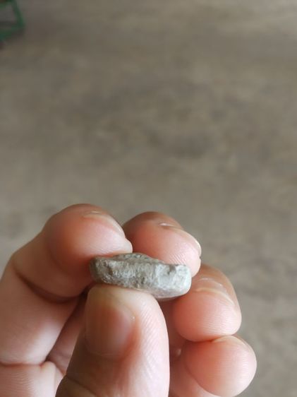 พระเนื้อว่านผสมผง(พระพิมพ์พระสมเด็จปิลันทน์เนื้อออกสีขาวเทาหลังเรียบ(ไม่ทราบอายุ)(ไม่ทราบพระเกจิที่สร้าง)(100405))พระเครื่องรางของมงคล รูปที่ 16