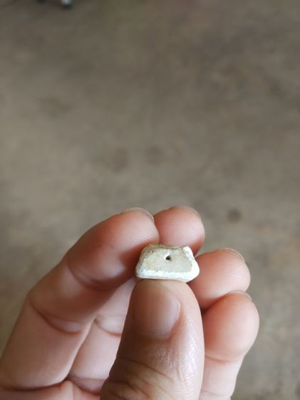 พระเนื้อผงพิมพ์เล็ก(พระพิมพ์พระรอดเนื้อสีขาว(100410)(ไม่ทราบอายุ)(ไม่ทราบพระเกจิที่สร้าง))พระบ้านพระเครื่องรางของมงคล รูปที่ 17