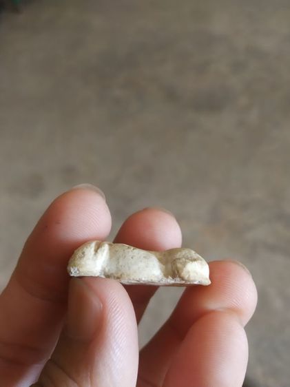 พระเนื้อว่านผสมผง(พระพิมพ์พระปิดตาหลังไม่ค่อยสวย(100411)(ไม่ทราบพระเกจิที่สร้าง)(ไม่ทราบอายุ)(เนื้อออกสีขาว))พระบ้านพระเครื่องรางของมงคล รูปที่ 16