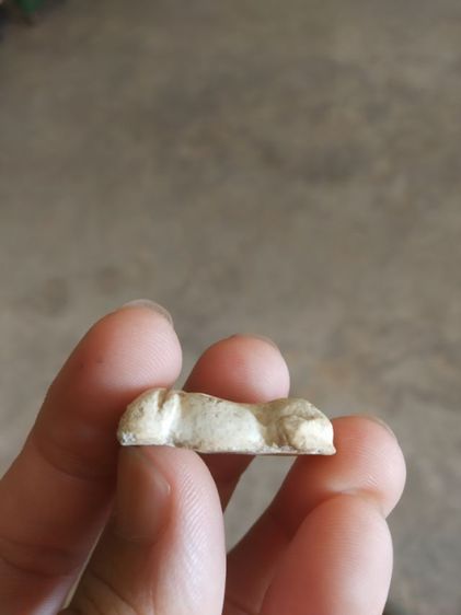 พระเนื้อว่านผสมผง(พระพิมพ์พระปิดตาหลังไม่ค่อยสวย(100411)(ไม่ทราบพระเกจิที่สร้าง)(ไม่ทราบอายุ)(เนื้อออกสีขาว))พระบ้านพระเครื่องรางของมงคล รูปที่ 14