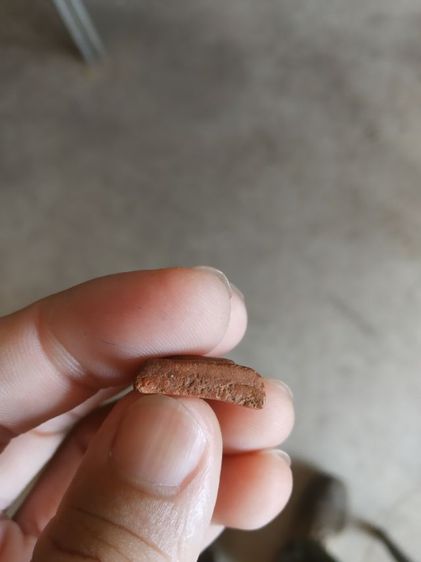 พระเนื้อดินผสมผงพิมพ์เล็ก(พระพิมพ์พระนางพญาเกศสูงหลังเรียบ(เนื้อออกสีน้ำตาลเข้ม)(100412)(ไม่ทราบพระเกจิที่สร้าง))พระเครื่องรางของมงคล รูปที่ 17