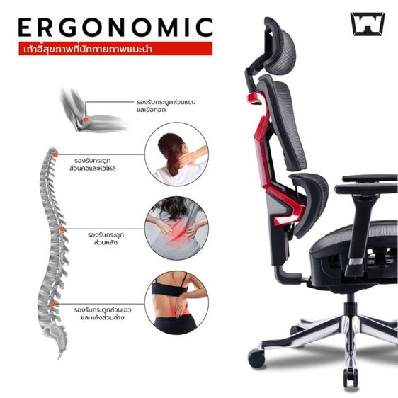เก้าอี้สุขภาพ Work Station Office Model S Ergonomic Chair รูปที่ 7