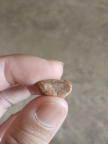 พระเนื้อดิน(พระพิมพ์พระเทวิกขนนกหลังเรียบ(เนื้อออกสีน้ำตาลส้ม)(ไม่ทราบอายุ)(ไม่ทราบพระเกจิที่สร้าง))พระบ้านพระเครื่องรางของมงคล รูปที่ 18